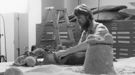 Co Hoedeman, constructeur de merveilles